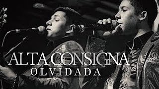 Alta Consigna  Olvidada Versión Acústica [upl. by Nueoht]