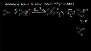 A12 BaeyerVilliger oxidation reaction mechanism [upl. by Varien938]