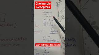 cholinergic receptor parasympathetic system shorts physiology CNS [upl. by Cowley]