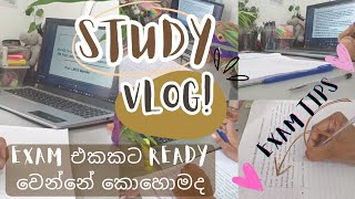 Study vlog📚Exam එකකට අපි පොඩි කාලයකින් ready වෙන්නේ කොහොමද🌈Exam ලග ලගම එන අයට productive exam tips [upl. by Sokil]