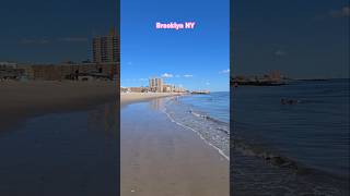 BROOKLY NY Brighton Beach shorts [upl. by Aala980]