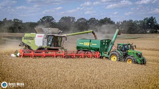 Ernte 2024 Claas Lexion 780 Mähdrescher und John Deere 6R mit Hawe Überladewagen Gerste dreschen [upl. by Lerim]