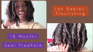 My Locs are Flourishing Yall 😄 18Months Quick Loc Update  SemiFreeform Locs 🌴 [upl. by Atinus]