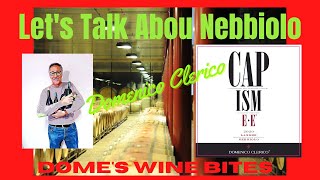 LANGHE NEBBIOLO  “Capismee” Let’s talk about Nebbiolo  Wine Stories [upl. by Kurth]