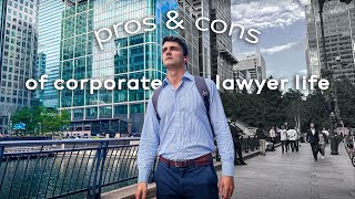 What I REALLY Think About Corporate Law  My Honest Opinion [upl. by Naujed533]