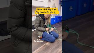 💊 How I Pill My Cat Slytherin Style 🐍 [upl. by Magee627]