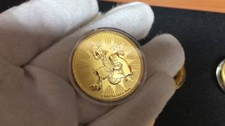 Investing in Gold  Best Gold Bullion Coins [upl. by Ennaylloh]