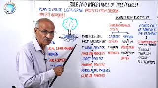 ROLE AND IMPORTANCE OF TREE amp FOREST  Part 25  By SS Ojha Sir [upl. by Haelem]