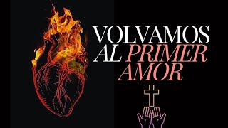 Volvamos al primer amor  Frida Valle [upl. by Dnob]