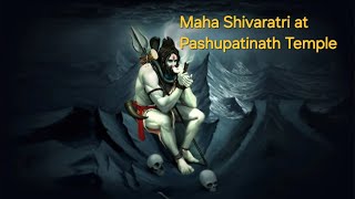 Maha Shivaratri at Pashupatinath Temple Nepal Malayalam Vlog [upl. by Montfort]