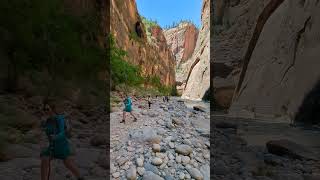 Zion Canyon Narrows A Hiker’s Paradise mp4 travel angelslanding water adventure [upl. by Theona]