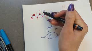 Skeletal Structures of Organic Molecules for BI 112 [upl. by Blankenship]