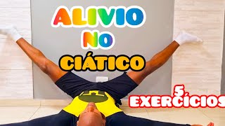 5 Exercícios p ALIVIAR a DOR do NERVO CIÁTICO em casa [upl. by Aela594]