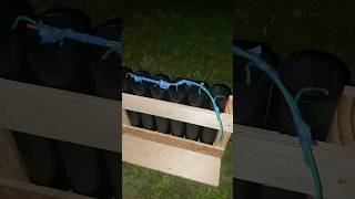 6 5” canisters tested in a 6 shot Pyro Boom rack fireworks shorts Piratekings Pyro Salute [upl. by Nahum848]