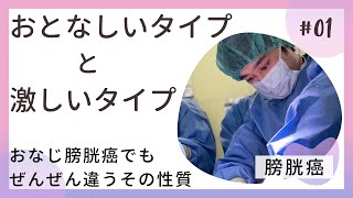 おとなしいタイプと激しいタイプの膀胱癌 同じ膀胱癌でも全く違った性質を持っている [upl. by Henriha]