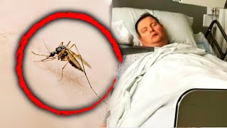 Man Dies After Contracting Triple E Virus From Mosquito [upl. by Trebreh]