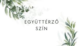 EGYÜTTÉRZŐ SZÍN [upl. by Dviad]