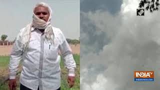 Swarms of locusts attack Rajasthans Chomu [upl. by Wehttam]