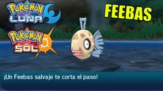 Como conseguir a FEEBAS En Pokemon SOL y LUNA [upl. by Oilasor129]