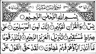 Surah Yaseen  Yasin  Daily Quran Tilawat Surah Yasin Surah Rahman Surah Yaseen [upl. by Einnalem]