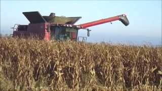 moisson maïs 2015  Corn Harvest 2015 in France [upl. by Diandra]