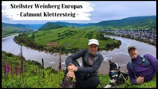 Calmont Klettersteig mit Hund  Steilster Weinberg Europas  Moselschleife Bremm [upl. by Gifferd]