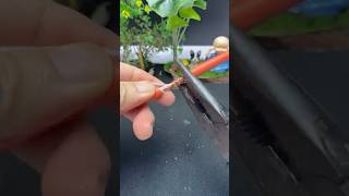 Remember this trick How to connect electrical wire together shorts shortvideo electrical [upl. by Resor756]