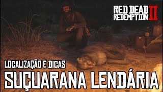 RED DEAD REDEMPTION 2  ABATENDO A SUÇUARANA LENDÁRIA LOCALIZAÇÃO E DICAS [upl. by Christabella2]