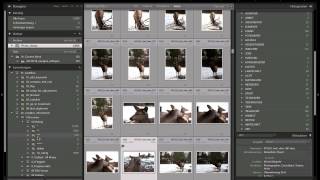 Lightroom Tipps für schnellere schlankere Kataloge [upl. by Mcdonald]