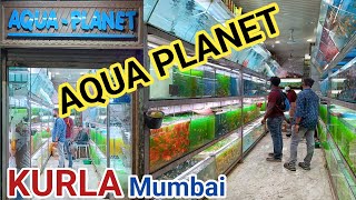 Aqua Planet Fish Shop  kurla Fish Aquarium market  Mumbai Aquarium fish market  Aqua Planet Shop [upl. by Cerallua]