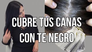 Poderoso Tinte natural para Teñir el cabello sin maltratarlo  aprende a prepararlo [upl. by Ydac]