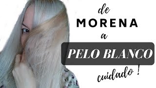 PELO BLANCO  Necesitas saber ésto si vas a decolorar en casa [upl. by Eila348]