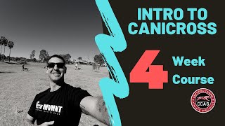 Introduction to Canicross Australia Run with your dog [upl. by Mccord]