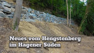 Hengstenberg Teil 2 Update nach 2 Monaten [upl. by Felic]