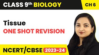 One Shot Revision  Tissues  Class 9 Biology Chapter 6  202324 [upl. by Clower367]