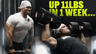 1 WEEK ON THE BULK  Shoulder Workout [upl. by Lyrehs]