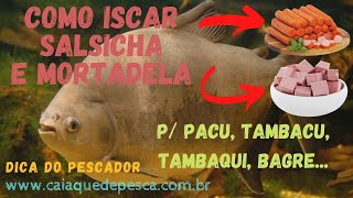 Como iscar corretamente salsicha e mortadela Pacu Tambacu Tambaqui Bagre Top Demais [upl. by Moule]