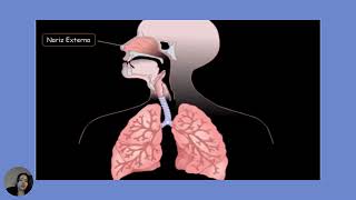 Guía didáctica sobre el sistema respiratorio y circulatorio  Segundo BGU  Grupo  13 [upl. by Rodolphe300]