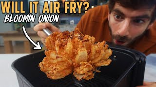 Testing 5 Questionable Air Fryer Recipes… [upl. by Ynohtna706]