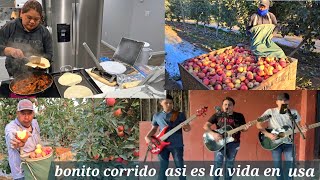 Haciendo Tortillas para hacer unos tacos para comer en Nuestro trabajo piscando Manzana [upl. by Anua]