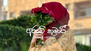 අරාබි කුමාරී  Arabi Kumari  Sandun Perera  slowed and reverb [upl. by Laius]