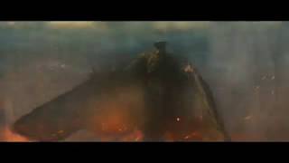 Mothra vs Rodan  Godzilla King of the Monsters [upl. by Shea]