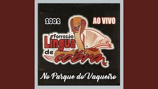 Toneladas de amor  FORROZÃO LINGUA DE COBRA [upl. by Yordan862]