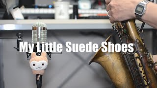 My Little Suede Shoes Take 2  from Easy Solo Example for Alto Sax by Yasuhiro Fujii [upl. by Ayyidas660]