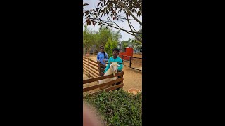 Family Fun at the Pet Park Cuteness Overload  Parrots Dogs and Pure Joy 🦜🐕✨Yercaud  Pikku Park [upl. by Bathesda528]