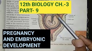 Class 12 biology chapter 3part 9pregnancy and embryonic developmentstudy with farru [upl. by Odlauso]