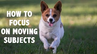 How to focus on moving subjects  DSLR photography tutorial [upl. by Dede419]