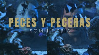 Somnifobia  Peces Y Peceras [upl. by Atilahs]