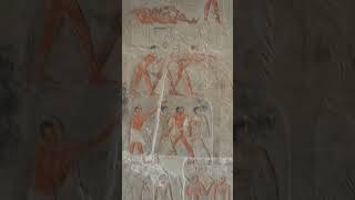 Inside the Tombs in Saqqara Egypt travel wealth africa kings pharaohs amen hieroglyphics [upl. by Skipper109]