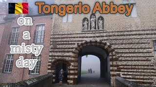 Tongerlo Abbey on a cold misty day 𝐀𝐛𝐝𝐢𝐣 𝐯𝐚𝐧 𝐓𝐨𝐧𝐠𝐞𝐫𝐥𝐨 𝐨𝐩 𝐞𝐞𝐧 𝐤𝐨𝐮𝐝𝐞 𝐦𝐢𝐬𝐭𝐢𝐠𝐞 𝐝𝐚𝐠 [upl. by Inaja225]